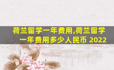 荷兰留学一年费用,荷兰留学一年费用多少人民币 2022